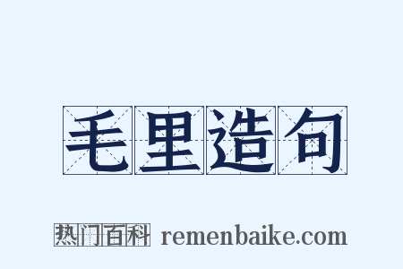 毛里造句是什么意思的图片